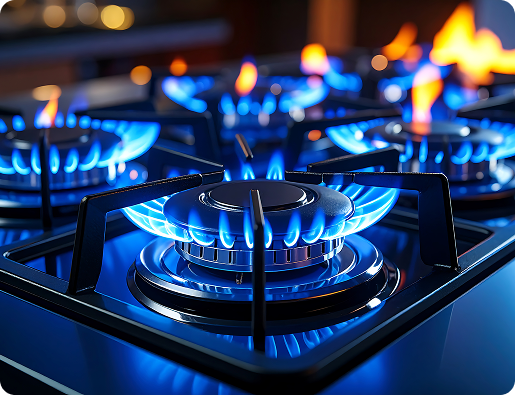 Dual fuel appliances Fleet